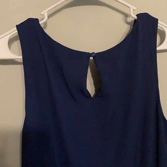 Pink and Navy Sleeveless Dress - Picture 4 of 4